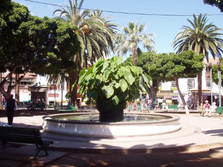 Brunnen, Plaza del Charco in Puerto de la Cruz