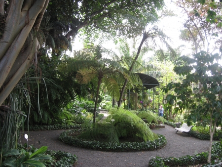 Botanischer Garten